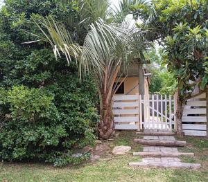 Refugio El Dormilón - Jardín Cercado, WiFi y Playa, Pet Friendly