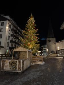 Mountain Bliss Duplex - Saas Fee