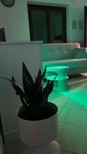 Harmony Boutique inn