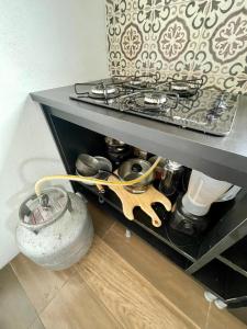 Apartamento 2 Dormitórios Praia do Rosa