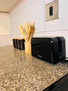 Chic Modern Apartment