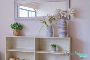 Renovated Apartment Steps from the Malecon & Beach