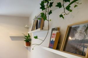 Il nido tra i portici