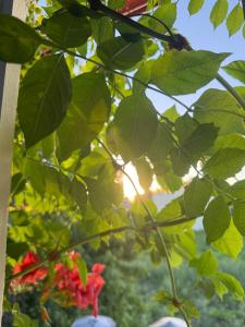 La Buena Fortuna PH in Colón Entre Ríos