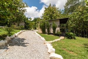 Hotel Banyan Doradal