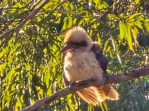 The House of the Rising Sun & Hot Spa