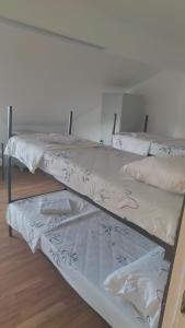 Alpha vision Smestaj