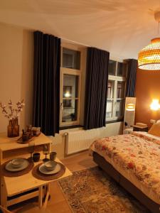 Cozy Renovated Studio in Central Brussels