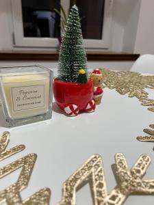 Apartament Wolności