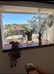 Departamento Luciana