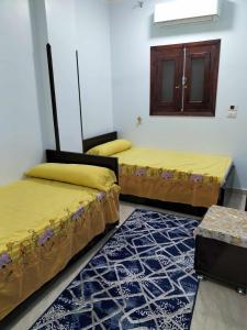 El faraón egipcio apartment