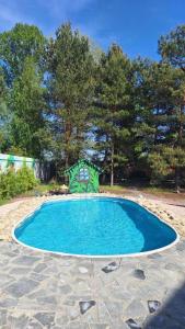 Эко-дім зі смереки з чаном, сауною, каміном і басейном на Десні, 12 км від Києва