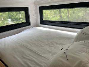 Tiny Silent House River