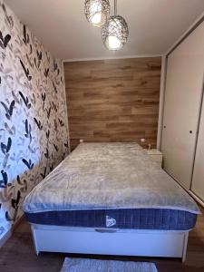 Teguisa 20 Wifi Fiber Ocean Wiew Pool