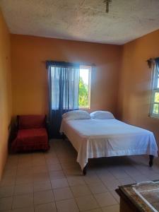 Royal Bed & Breakfast Guest House