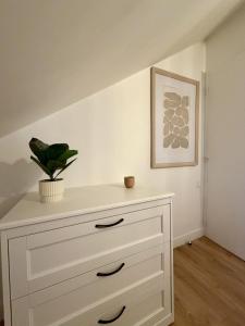 La Halte - T2 centre de Tinteniac