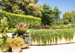 NEWTOWN - HEART OF - Bohemian Creative Space