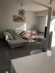 Appartement moderne esprit loft avec balcon centre Colmar proche gare et Place Rapp