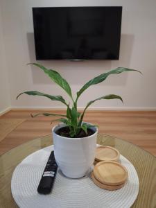 Close to Shoal Bay Beach!