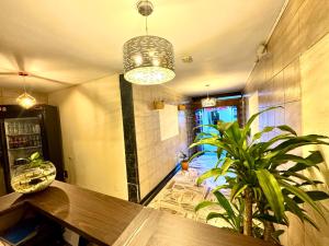 Hotel Pereira Central