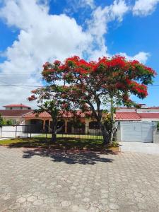 Suas Férias em Floripa