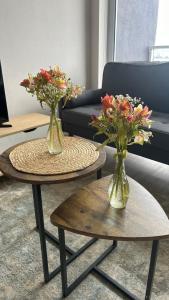 Departamento centro de Concepción