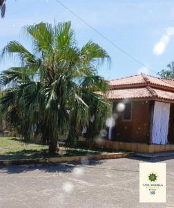 Casa Amarela Ecoloft Brasil 88