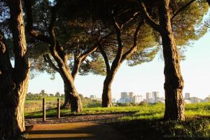 Apartment Lisbon airport