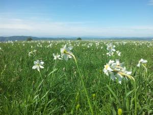 Large holiday home in Cagli with pool