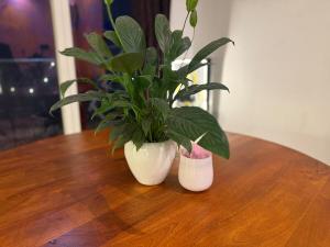 2BHK River view Apartment and City view