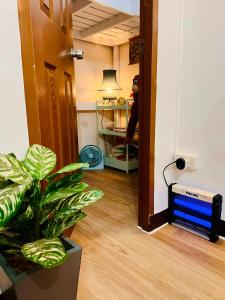 Casa con Amor Work-Friendly & Ideal Long Stays