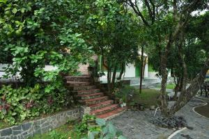 The Palm Bliss Resort - Wellness