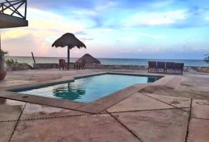 Casa Amor Pto Morelos