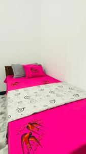 Monstera Haven Hiriketiya