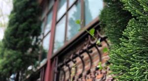 The Color Resort Amphawa