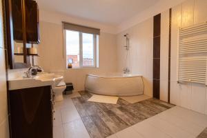 Lua Solis Apartment with Mt Tampa Views in the Old Town