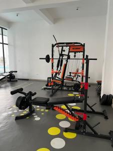 Executive Studio Artesano