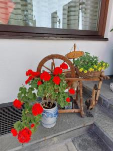 Appartement Hödlmoser