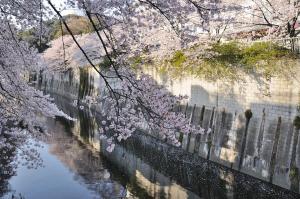 東京の中心地の新宿区で便利2駅から徒歩6分6名収容無制限高速WIFI