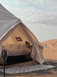 Quiet Nights Camp