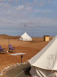 Quiet Nights Camp