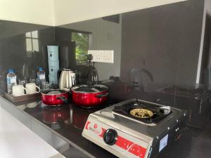 Casa Feliz Myristica