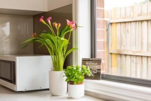 Spacious home with Netflix, Wifi, parking and workspace