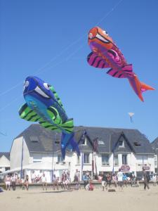 Hotels Les Chants d'Ailes - Hotel Face Mer : photos des chambres