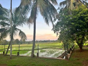 New WELELIYA Family Resort Embilipitiya