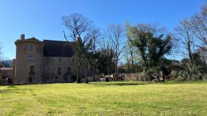 Chateau dAlbon - Henri II