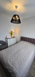 Mažeikiai City Apartments