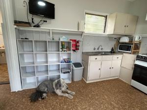 Bemm River Bungalows - Luderick Lodge Bungalow 3