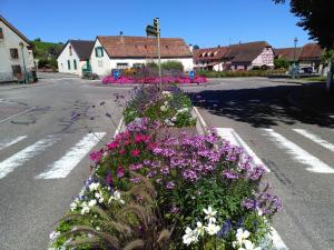 Maisons de vacances Gites & Camping on the Route des Vins : photos des chambres