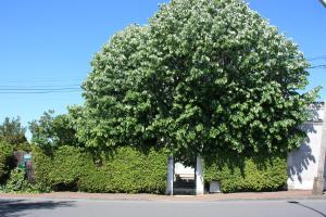 Pension Jardins en Ville Cognac Frankreich